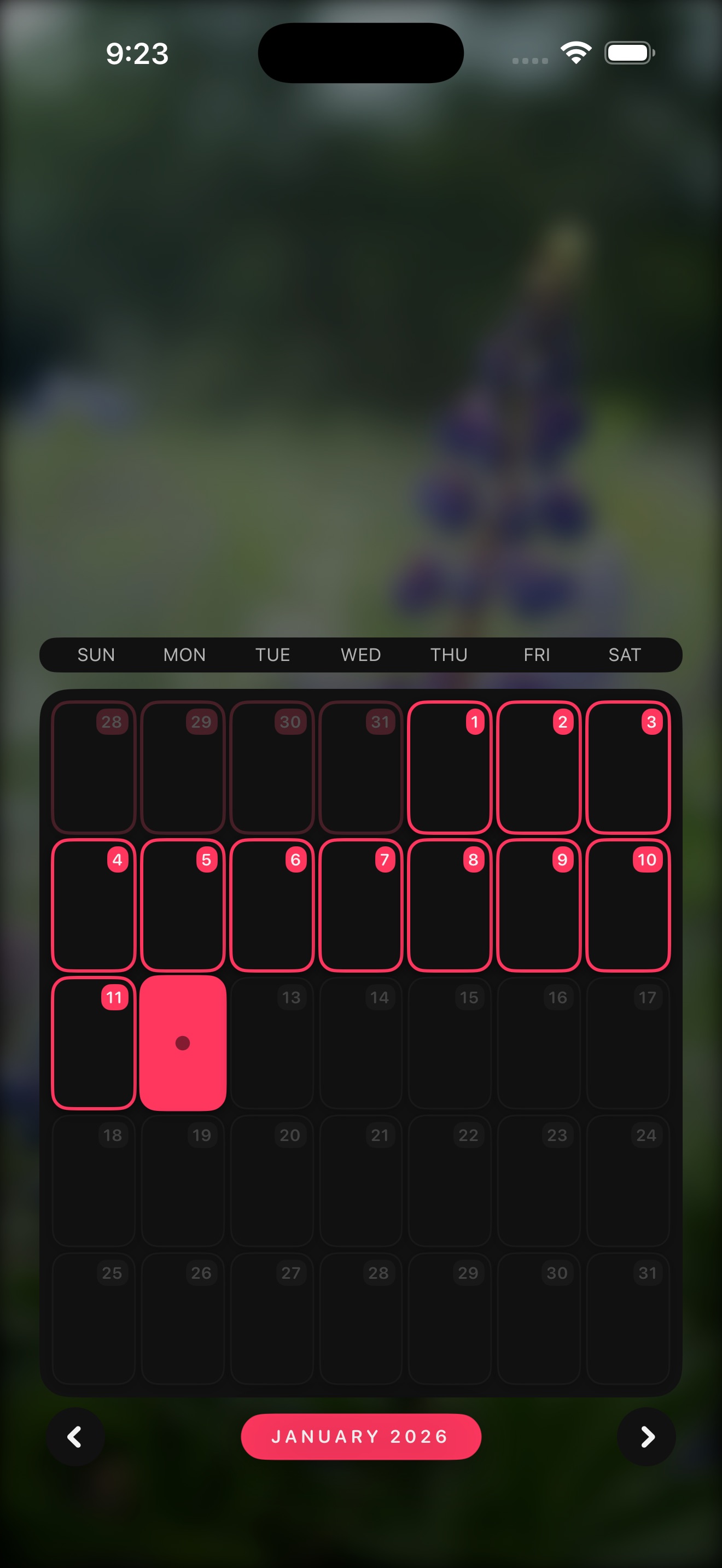 R3CAP app screenshot